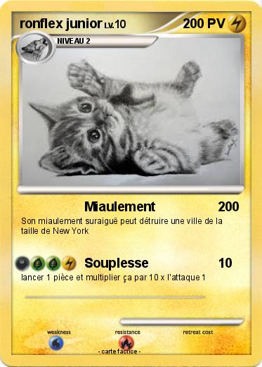 Pokemon ronflex junior