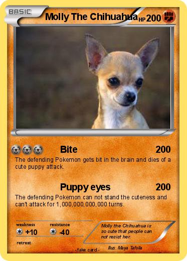 Pokemon Molly The Chihuahua