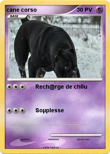 Pokemon cane corso