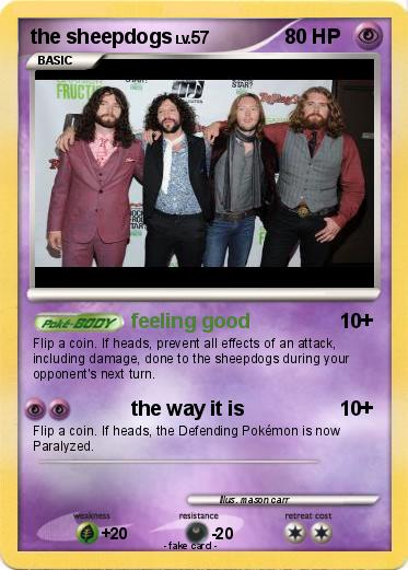 Pokemon the sheepdogs