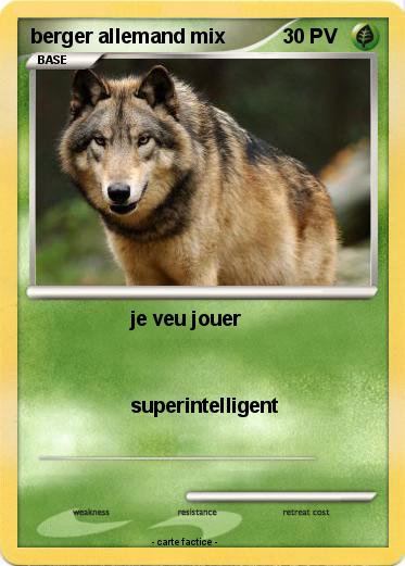 Pokemon berger allemand mix