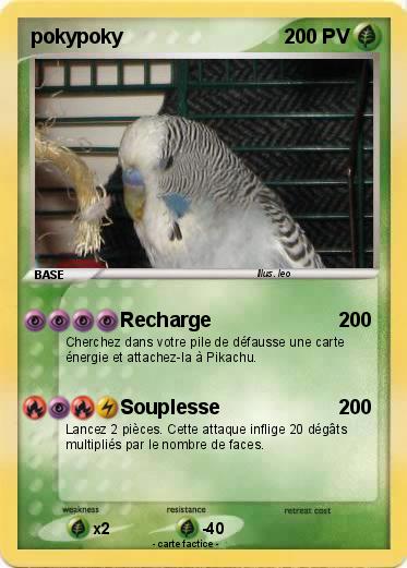 Pokemon pokypoky