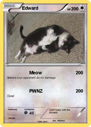 Pokemon Edward