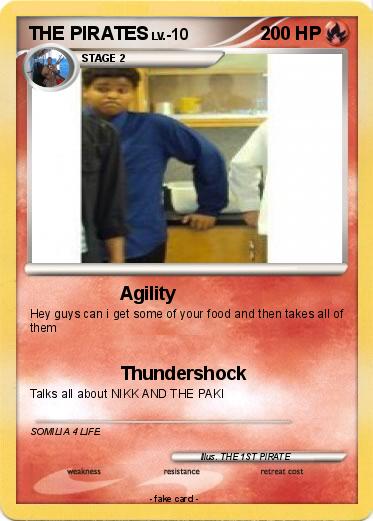 Pokemon THE PIRATES