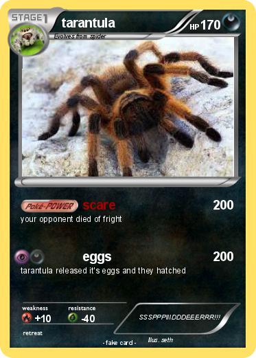 Pokemon tarantula