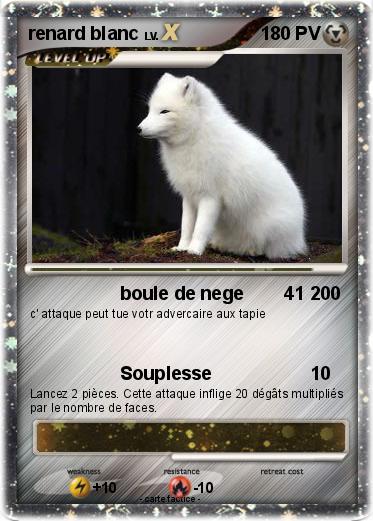 Pokemon renard blanc