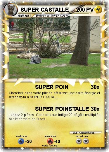 Pokemon SUPER CASTALLE