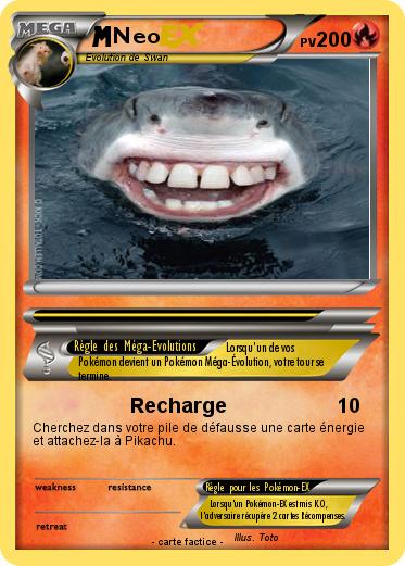 Pokemon Neo