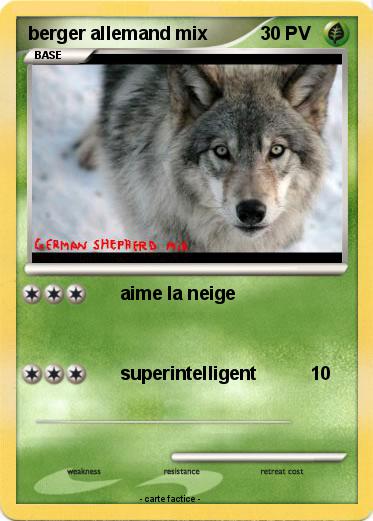 Pokemon berger allemand mix