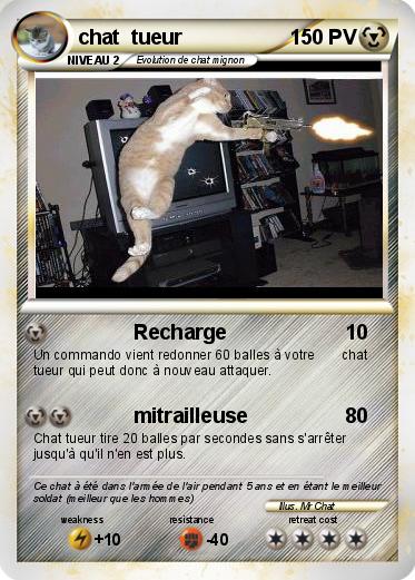 Pokemon chat  tueur