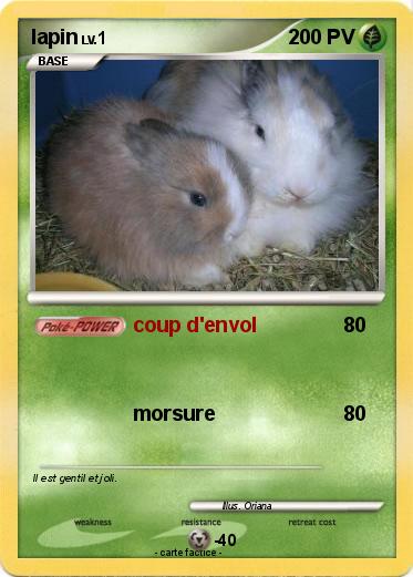 Pokemon lapin