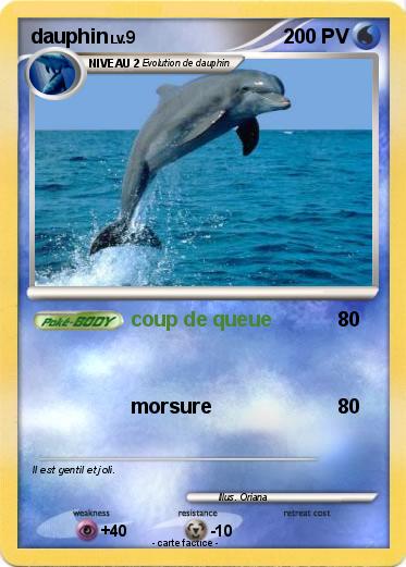 Pokemon dauphin