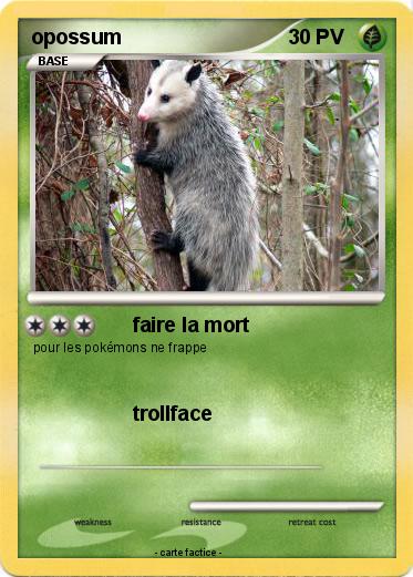 Pokemon opossum