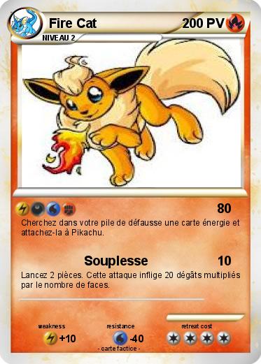 Pokemon Fire Cat