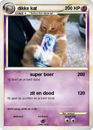 Pokemon dikke kat