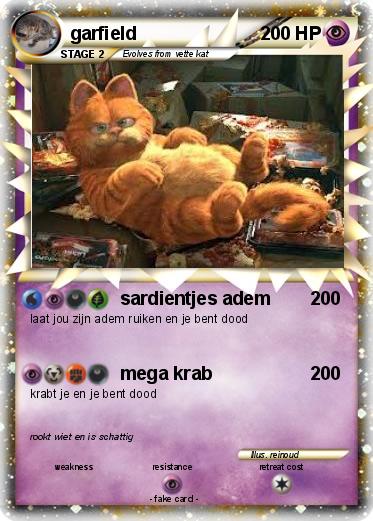 Pokemon garfield