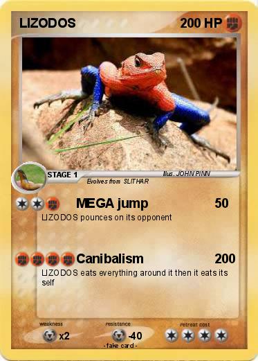 Pokemon LIZODOS