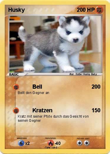 Pokemon Husky