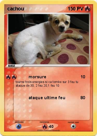 Pokemon cachou