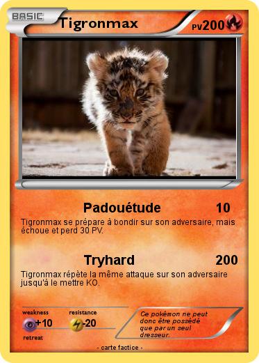 Pokemon Tigronmax