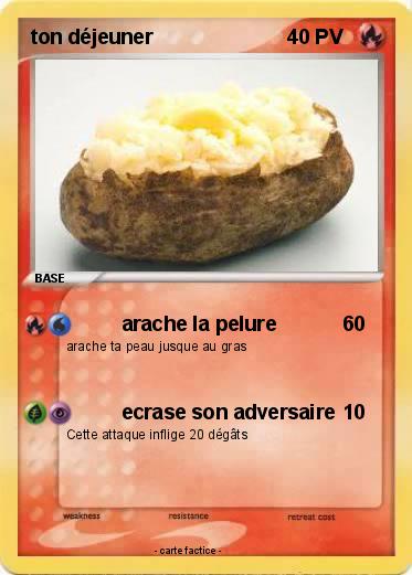 Pokemon ton déjeuner