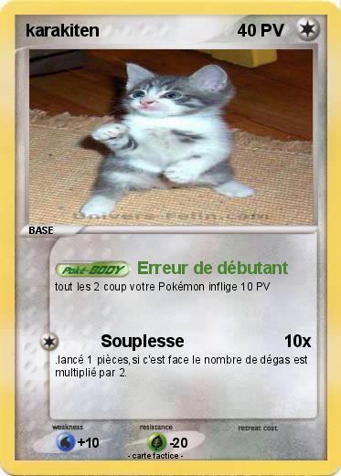 Pokemon karakiten