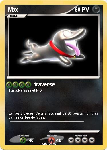 Pokemon Max