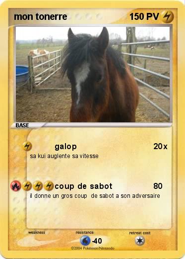 Pokemon mon tonerre 