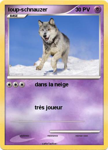 Pokemon loup-schnauzer