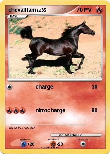 Pokemon chevalflam