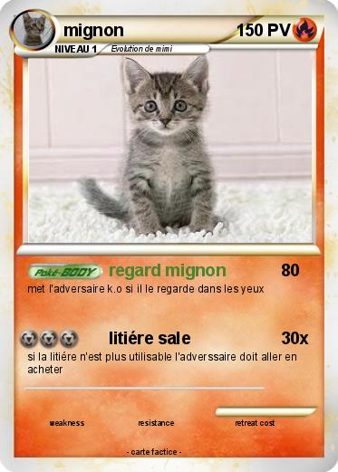 Pokemon mignon