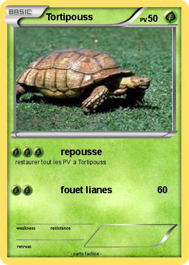 Pokemon Tortipouss