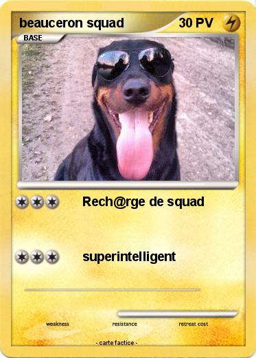 Pokemon beauceron squad