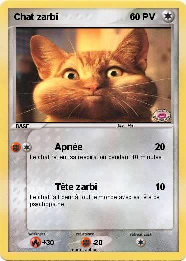 Pokemon Chat zarbi