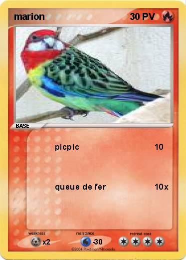 Pokemon marion