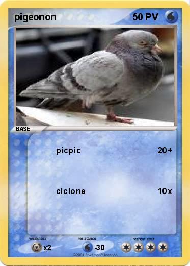 Pokemon pigeonon
