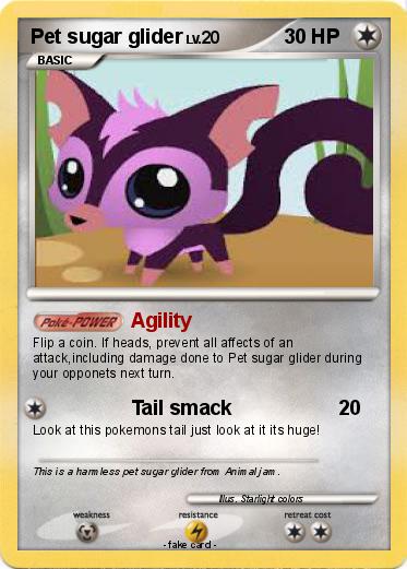 Pokemon Pet sugar glider