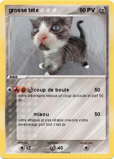 Pokemon grosse tete