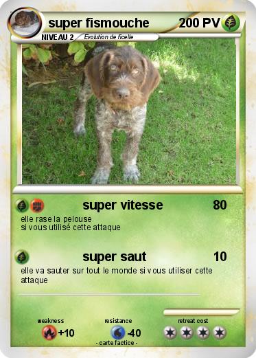 Pokemon super fismouche
