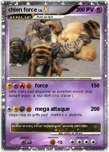 Pokemon chien force