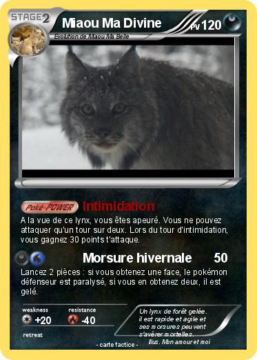 Pokemon Miaou Ma Divine