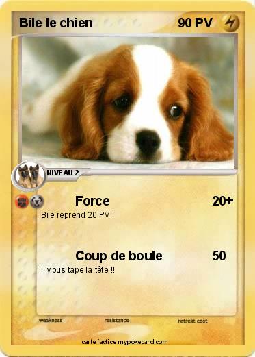 Pokemon Bile le chien