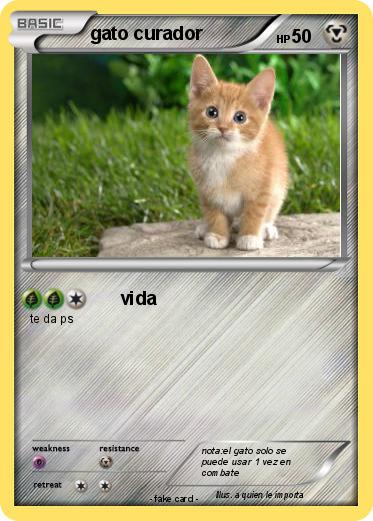 Pokemon gato curador