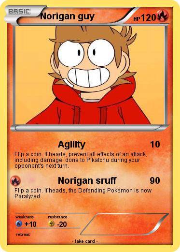 Pokemon Norigan guy