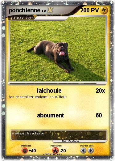 Pokemon ponchienne
