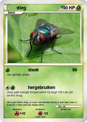 Pokemon vlieg
