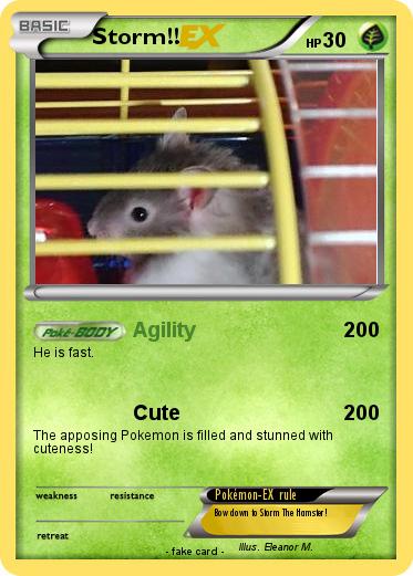 Pokemon Storm!!