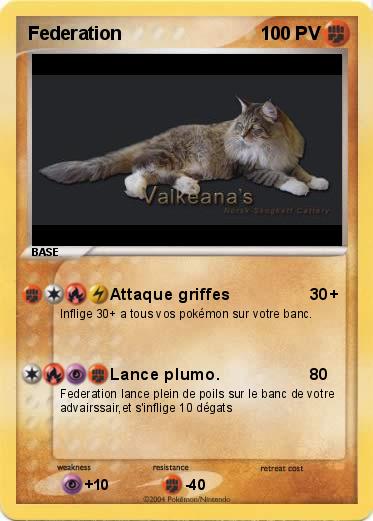 Pokemon Federation