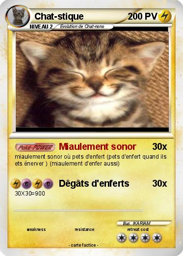 Pokemon Chat-stique