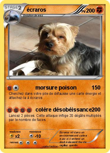 Pokemon écraros
